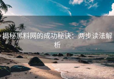 揭秘黑料网的成功秘诀：两步读法解析