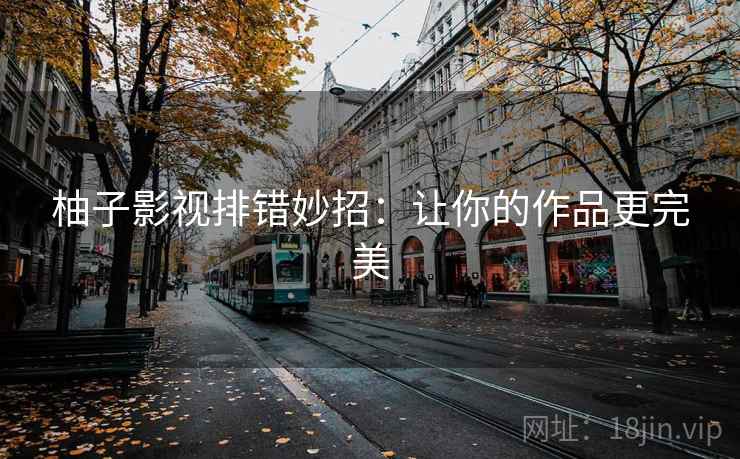 柚子影视排错妙招：让你的作品更完美